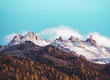 乐鱼安卓-张奔斗：问鼎巴黎大师赛 梅德维德夫终究最爱秋季