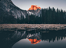 乐鱼苹果-塔图姆儿子Deuce认真给女球迷签名：不好意思 字写得难看